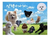 ♡산책가자개♡ 구미/석적/경북/강아지/산책모임/애견모임/친목모임 | 밴드