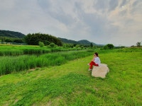 수성초등학교1977년졸업 | 밴드
