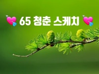 ♡ 65 청춘 스케치 ♡ | 밴드
