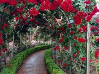 71생 돼지 울산 경주 포항 (경남.경북)시나브로♡ | 밴드