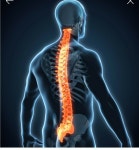 명상단전호흡단추시대丹錘時代 | 밴드 깨달음 ᆢ 9 인간혁명 인간개조 >>>진화 신神新인간 대창조 과유불급過猶不及 조급하여 중추신경을 먼저... 