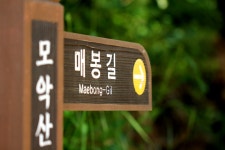 등산스토리 | 밴드 2020.8.16 모악산🌿 중인리~매봉~계곡길에서 만난 야생화🌼 약~8km..5시간의 힐링타임^^ 전주기온이 35도라니..와우~~대박...