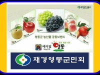 재경영동군민회 | 밴드