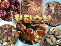 천하수산 | 밴드