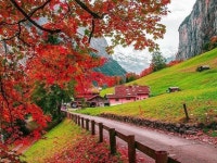 한마음쉼터 | 밴드