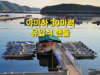 태성레저[통영 풍화리] | 밴드