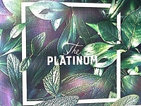 외동쌍용플레티넘조합원 | 밴드