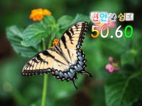 편안한쉼터 50.60방 | 밴드