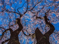 가북중학교 10회 | 밴드