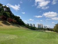 최강수원회원 | 밴드