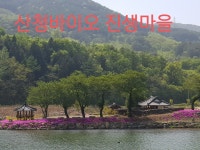 농업법인(주)리앤힐바이오 | 농업법인 산청바이오 진생마을(주) | 밴드