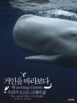 ISNI > ISNI검색 > Kelsey, Elin 상세화면