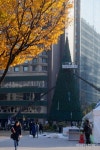[포토]가을 가고, 겨울 오고 - 아시아경제 [포토]가을 가고, 겨울 오고