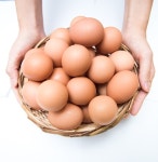 김제 산란계 농장, 재검사에서 살충제 또 검출 - 아시아경제 김제 산란계 농장, 재검사에서 살충제 또 검출