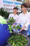 21일 중구 명동 예술극장 앞에서 석수와퓨리스 주최로 열린 2012... 김연아 커피 CF 찍은 그 후여고생 깡통에 소변보게 한 선생님 결국... 