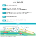 제5회 2019 은행나무길축제 10.25(금)~11.3(일) 염치읍 은행나무길 일원