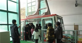 알고보니 쥐 때문에…두륜산 케이블카 사고 원인 밝혀져 - 아시아경제 알고보니 쥐 때문에…두륜산 케이블카 사고 원인 밝혀져