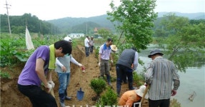 광주시 광산구 하남동, 주민참여형 꽃밭 만들기 사업 추진 - 아시아경제 광주시 광산구 하남동, 주민참여형 꽃밭 만들기 사업 추진