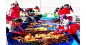 함평 나산면새마을부녀회 경로당 등에 김장김치 전달 - 아시아경제 함평 나산면새마을부녀회 경로당 등에 김장김치 전달