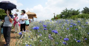 [포토]들꽃마루 나들이 - 아시아경제 [포토]들꽃마루 나들이