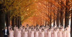 제6회 담양여성합창단 정기연주회 연다 - 아시아경제 제6회 담양여성합창단 정기연주회 연다