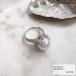 제이블링 | 레이틀리