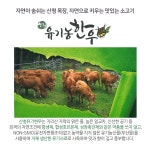 산청 유기농 한우 삼미미 정육식당 | 자연으로 키우는 산청 유기농 한우 | 온라인 전용 상품 | 메인페이지 | megamart | 메가마트몰 메가마트몰