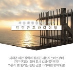 최저가 합법투어! 세븐시스터즈 + 브라이튼 투어 - 스투비플래너