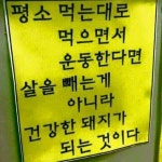 커뮤니티 - 자극사진 - 건강한 돼지.... - 다이어트신 다이어트신 - 다신 살찌지 말자