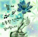 커뮤니티 - 70~80kg대 여인들 방 - 정체기 인가 봅니다 - 다이어트신 다이어트신 - 다신 살찌지 말자