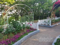 커뮤니티 - 경기ㆍ인천 - 시흥 신천동~ 비둘기 공원 운동다녀요^^ - 다이어트신 다이어트신 - 다신 살찌지 말자