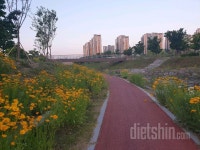 커뮤니티 - 정석다이어터 - 식단&운동 - 다이어트신 다이어트신 - 다신 살찌지 말자