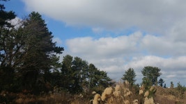 카큐 - [일반]운동6일차 신고합니당..^^. 카큐 디아블로2 디아블로3