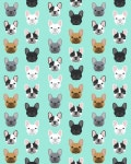 Naty님의 French Bulldog | We Heart It We Heart It | 나만의 소중한 갤러리를 위해 아름다운 이미지를 매일 발견해보세요