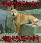 와이고수 - 이건 누워있는것도 서있는것도 아녀 이건 누워있는것도 서있는것도 아녀