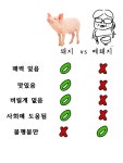 와이고수 - 돼지vs메퇘지 돼지vs메퇘지