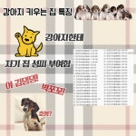 와이고수 - 멍멍이 키우는 집은 레알 다 이러나 멍멍이 키우는 집은 레알 다 이러나
