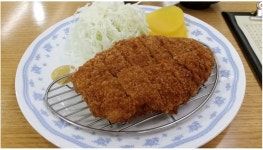 와이고수 - 35년 역사의 명동 돈까스 35년 역사의 명동 돈까스