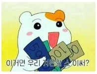 와이고수 - 대학생들 필수아이템.jpg 