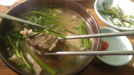 와이고수 - 오늘자 점심 오늘자 점심