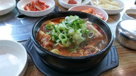 와이고수 - 오늘점심 뼈해장국 오늘점심 뼈해장국