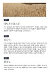 텐바이텐 10X10 : 몽글이 펫 카시트_(11577095)