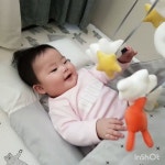 디자인 패브릭 전문브랜드 데코뷰 twins_roa_robin님사용후기 - 주식회사 데코뷰