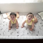 디자인 패브릭 전문브랜드 데코뷰 twins_roa_robin사용후기 - 주식회사 데코뷰