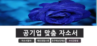 한국남부발전 자기소개서 첨삭 코칭학원 > 소개 / 홍보 | 데브코리아 데브코리아