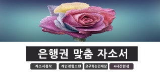 우리은행 자소서 첨삭 코칭 학원 > 소개 / 홍보 - 이윰빌더 데브코리아