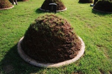 파일:SSNRT006 02.jpg - SeosamneungWiki.