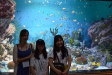 파일:Aquarium8.JPG - cefia