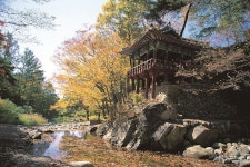 파일:영모정.png - HeritageWiki