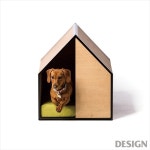 월간 디자인 : 개와 고양이와 나 그리고 디자인 | 매거진 | DESIGN 개와 고양이와 나 그리고 디자인